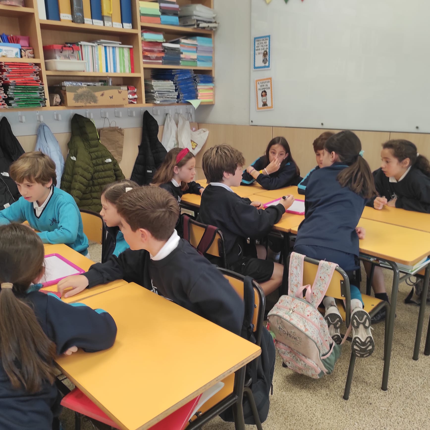 WhatsApp Image 2026-03-27 at 12.03.11 (1)