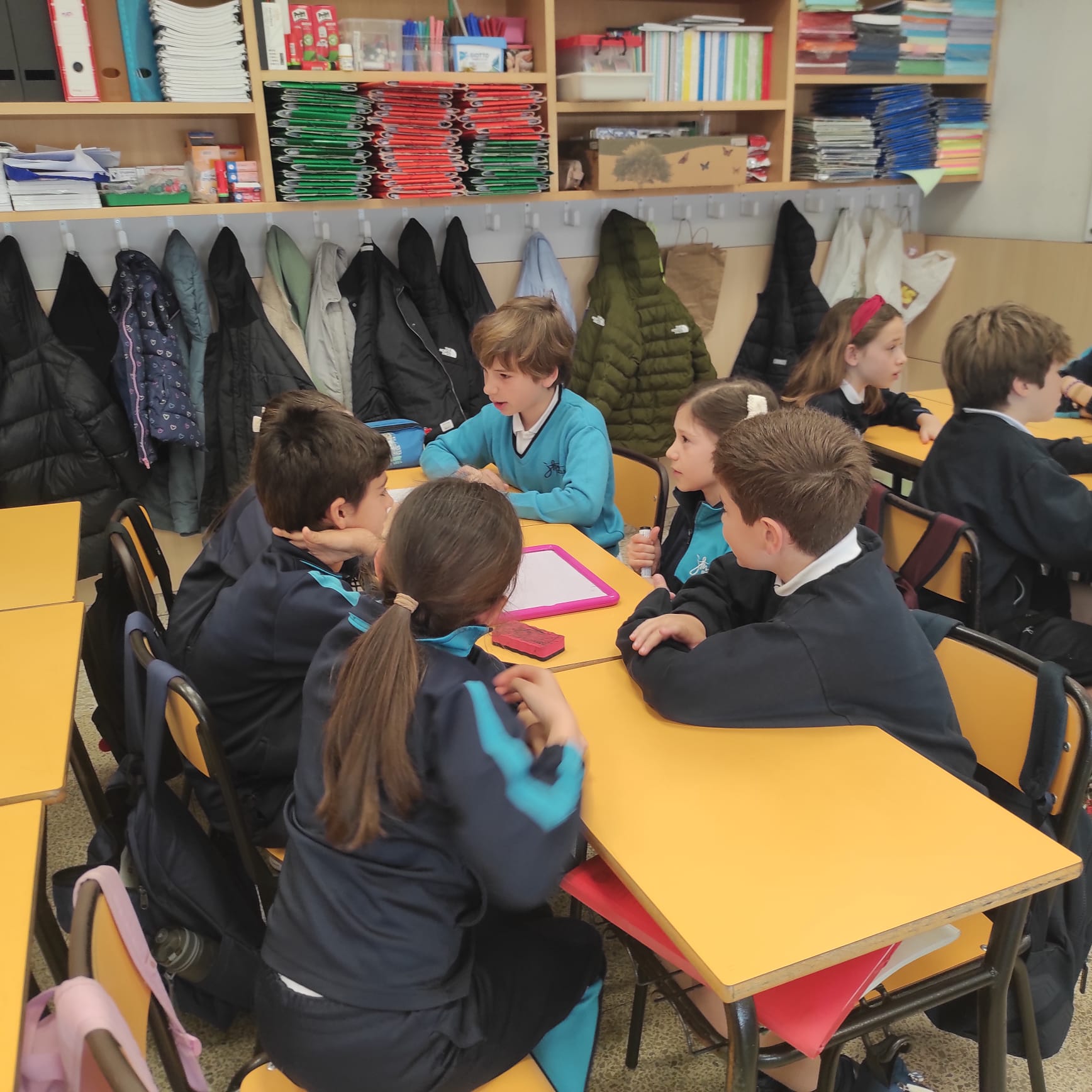 WhatsApp Image 2026-03-27 at 12.03.11 (4)